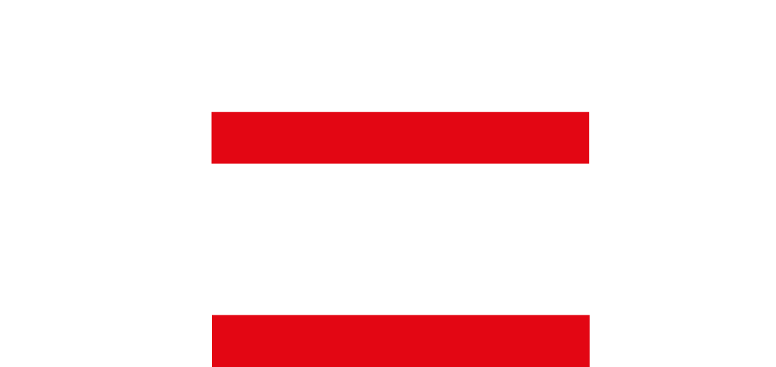 DWSI Logo weiss